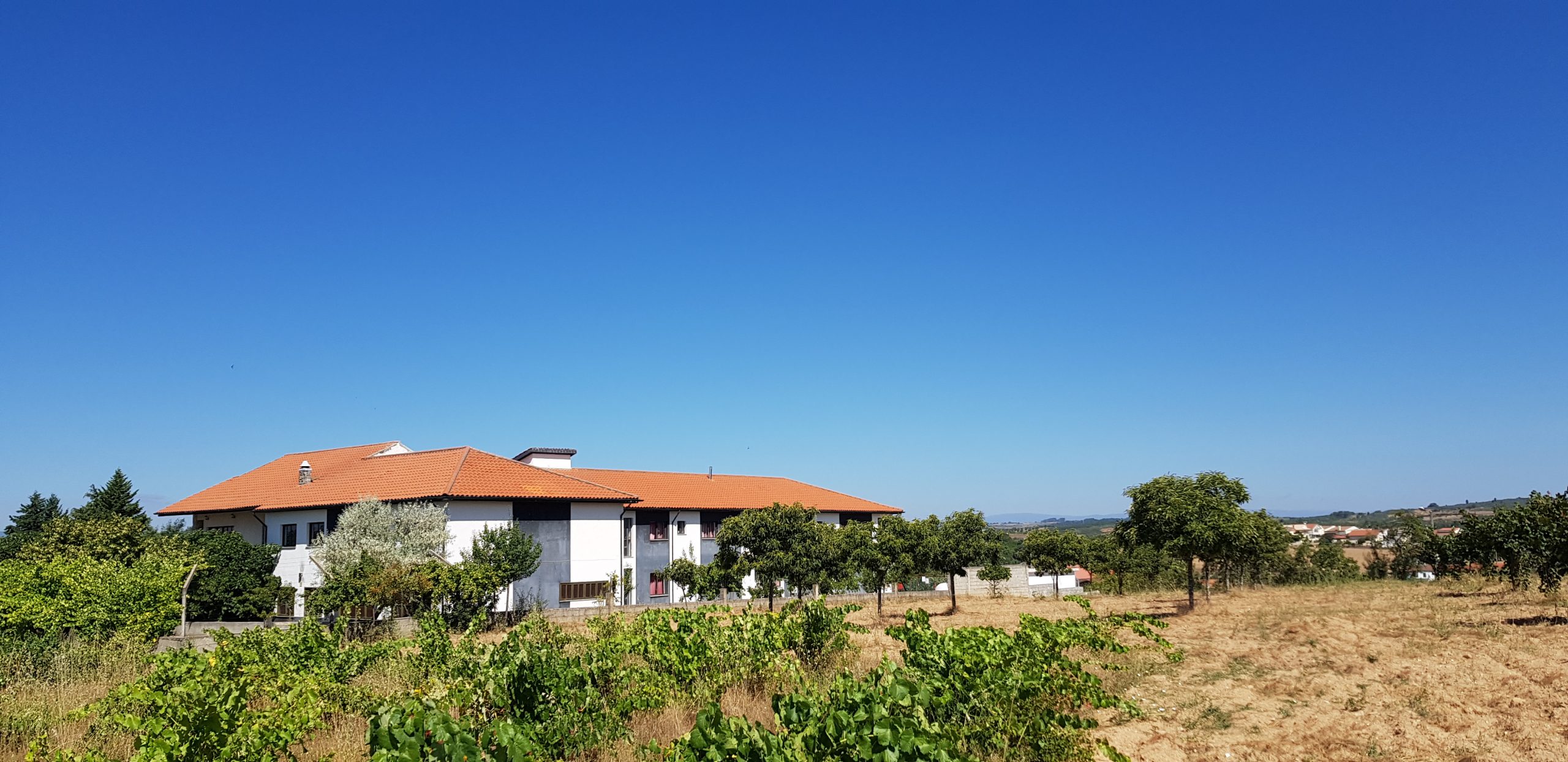 20180808_110319 - Cópia